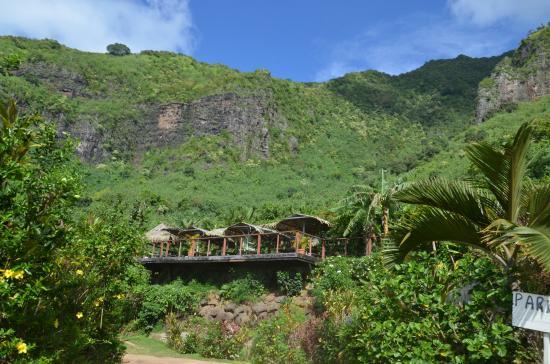 Ogrody tropikalne Moorea